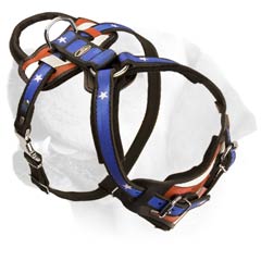 Attack/Agitation Decorative Leather Harness For Labrador