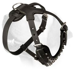 Labrador Leather Walking Harness