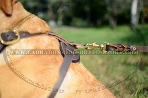 Labrador Handmade Leather Dog Harness