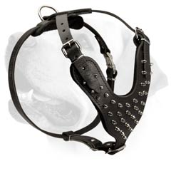 Attack/Agitation Spiked Harness For Labrador