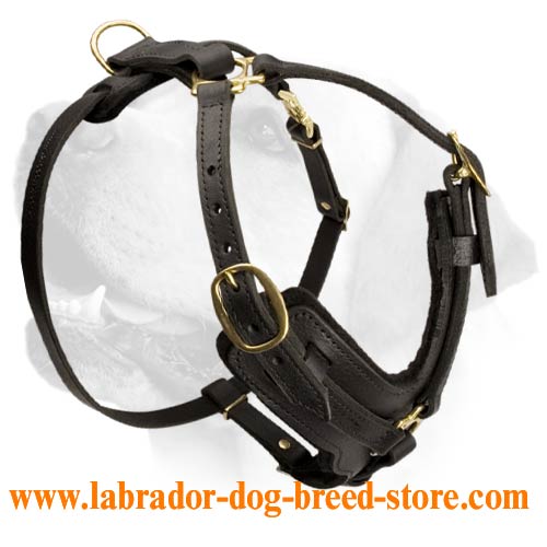 Designer Leather Dog leash, BARBIAN