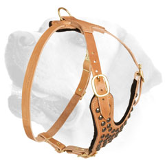 Labrador Leather Harness Of Original Design