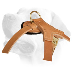 Labrador Leather Walking Harness