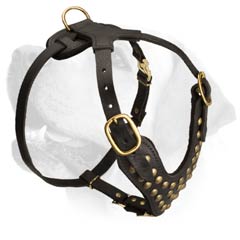 Durable Leather Harness For Labrador