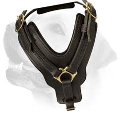 Labrador Durable Dog Leaher Harness