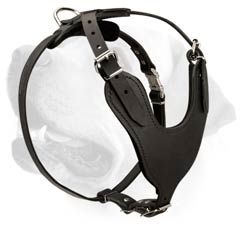 Labrador Leather Walking Harness