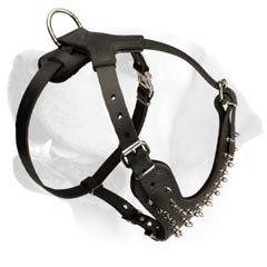 Labrador Spiked Decorative Leather Harness
