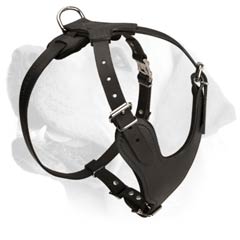 Labrador Leather Harness Of Original Design