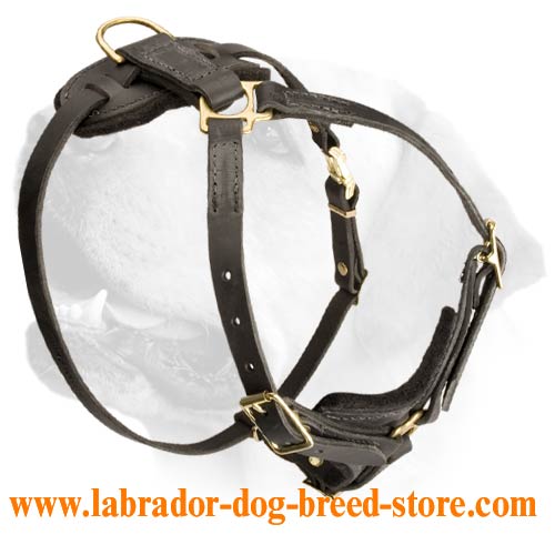 Tracking / Walking dog harness made of leather - H3_1