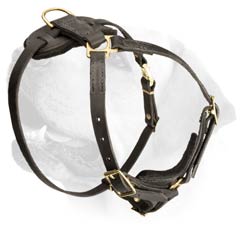 Durable Leather Harness For Labrador