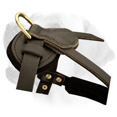 Walking Leather Dog Harness For Labrador