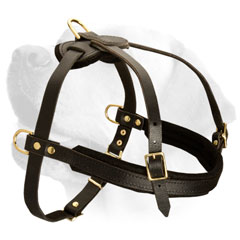 Labrador Lightweight Comfortable Dog Leather Harness