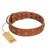 "Dreamy Gleam" FDT Artisan Tan Leather Labrador Collar Adorned with Stars and Squares
