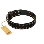 "Star Way" FDT Artisan Black Leather Labrador Collar with Bronze-like and Silver-like Star Studs