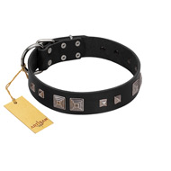 "Foregone Riches" FDT Artisan Black Leather Labrador Collar with Old Silver-like Square Studs and Pyramids
