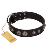 "Tricky Ricky" FDT Artisan Black Leather Labrador Collar Adorned with Silver-Like Conchos