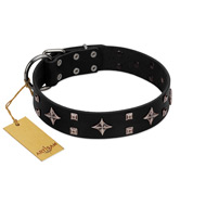 "Snappy Dresser" FDT Artisan Black Leather Labrador Collar Adorned with Stars and Tiny Squares