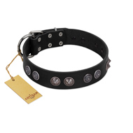 "Silver Medallions" Mod FDT Artisan Black Leather Labrador Collar with Round Plates