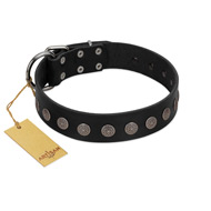 "Silent Star" Handmade FDT Artisan Designer Black Leather Labrador Collar with Engraved Plates