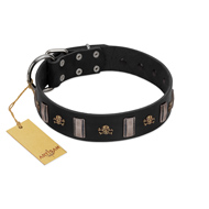 "Pirates' Symbol" Fashionable FDT Artisan Black Leather Labrador Collar with Silver-Like Plates and Gold-Like Skulls