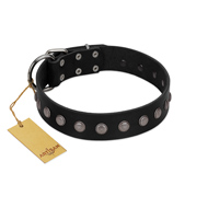 "Silver Flower" Exclusive FDT Artisan Black Leather Labrador Collar with Silver-Like Studs