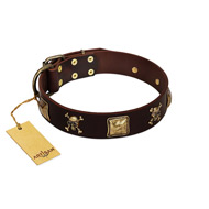 "Crazy Pirate" FDT Artisan Brown Leather Labrador Collar with Old Bronze-Plated Skulls and Plates