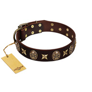 "Captain Hook" FDT Artisan Brown Leather Labrador Collar with Stars and Skulls
