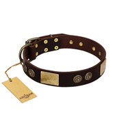 "Bow-Wow Effect" FDT Artisan Brown Leather Labrador Collar with Plates and Ornate Studs