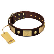 "Heavy Metal" FDT Artisan Brown Leather Labrador Collar with Old Bronze-like Skulls and Plates