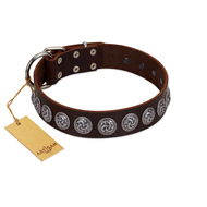"Charming Circles" FDT Artisan Brown Leather Labrador Collar with Silver-like Studs