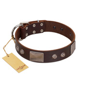 "Stone Stars" Stylish Handmade FDT Artisan Brown Leather Labrador Collar