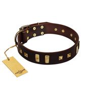 "Choco Delight" FDT Artisan Brown Leather Labrador Collar with Old Bronze-like Plates and Studs