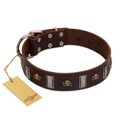 "War Chief" FDT Artisan Genuine Brown Leather Labrador Collar with Skulls and Plates