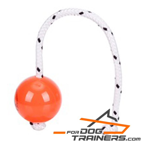 Dog training ball to have fun