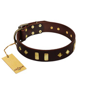 "Blinking Illusion" FDT Artisan Brown Leather Labrador Collar with Old Bronze-like Studs and Plates