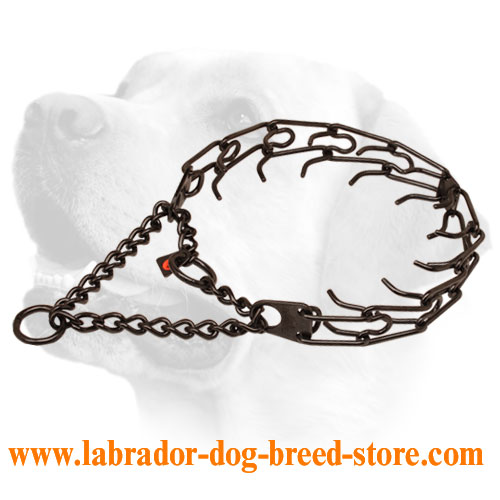 Black Prong Dog Collar of Stainless Steel