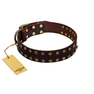 "To the Moon and Back" FDT Artisan Brown Leather Labrador Collar with Bronze-like Star Studs