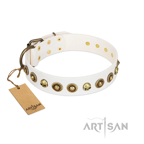 Natural leather collar with amazing adornments for your dog