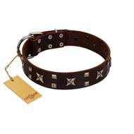"Bigwig Woof" FDT Artisan Brown Leather Labrador Collar with Chrome Plated Stars and Square Studs