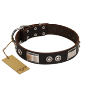 "Baller Status" FDT Artisan Brown Leather Labrador Collar Adorned with a Set of Chrome Plated Studs and Plates