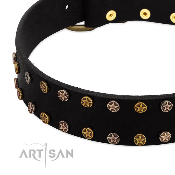 Awesome decorations on natural leather collar for your doggie