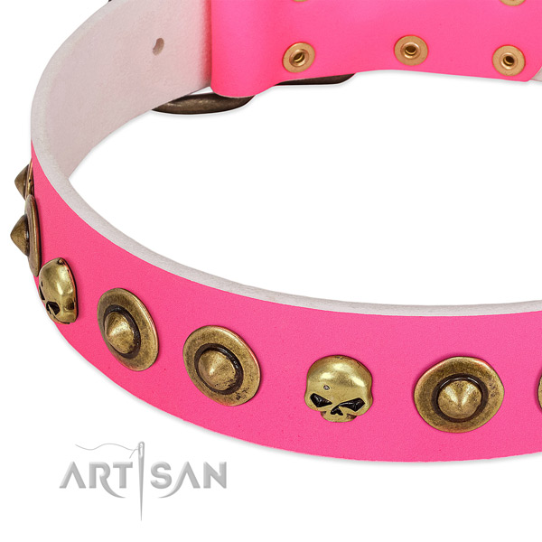 Extraordinary embellishments on leather collar for your doggie