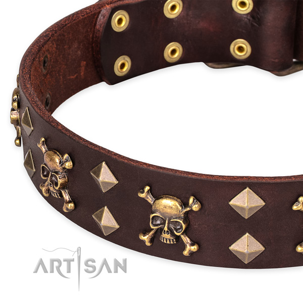 Fancy walking studded dog collar of durable leather