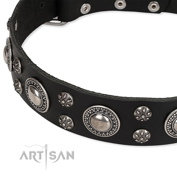 Daily use embellished dog collar of top quality natural leather