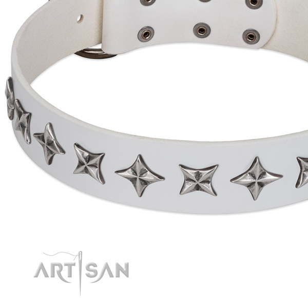 Stylish walking decorated dog collar of finest quality full grain leather