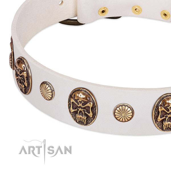 Durable studs on leather dog collar for your canine