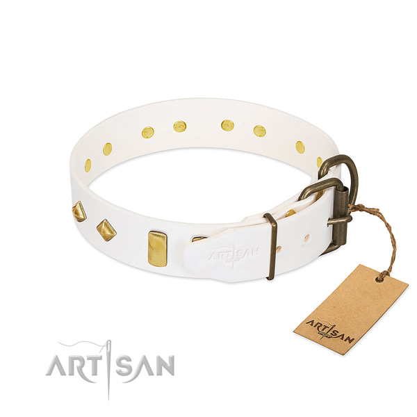 High quality full grain natural leather dog collar with corrosion proof fittings