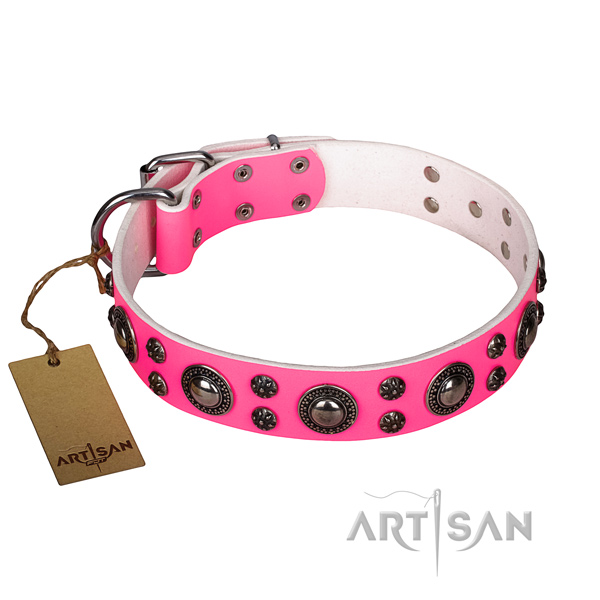 Handy use dog collar of high quality full grain leather with embellishments