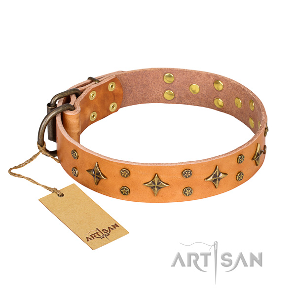 Daily use dog collar of high quality full grain leather with decorations