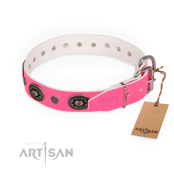 Stylish walking easy wearing dog collar with rust-proof D-ring